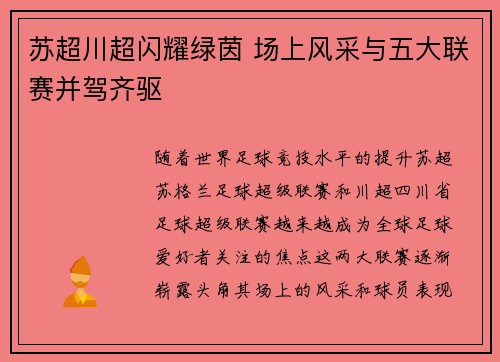 苏超川超闪耀绿茵 场上风采与五大联赛并驾齐驱 苏超川超闪耀绿茵 场上风采与五大联赛并驾齐驱